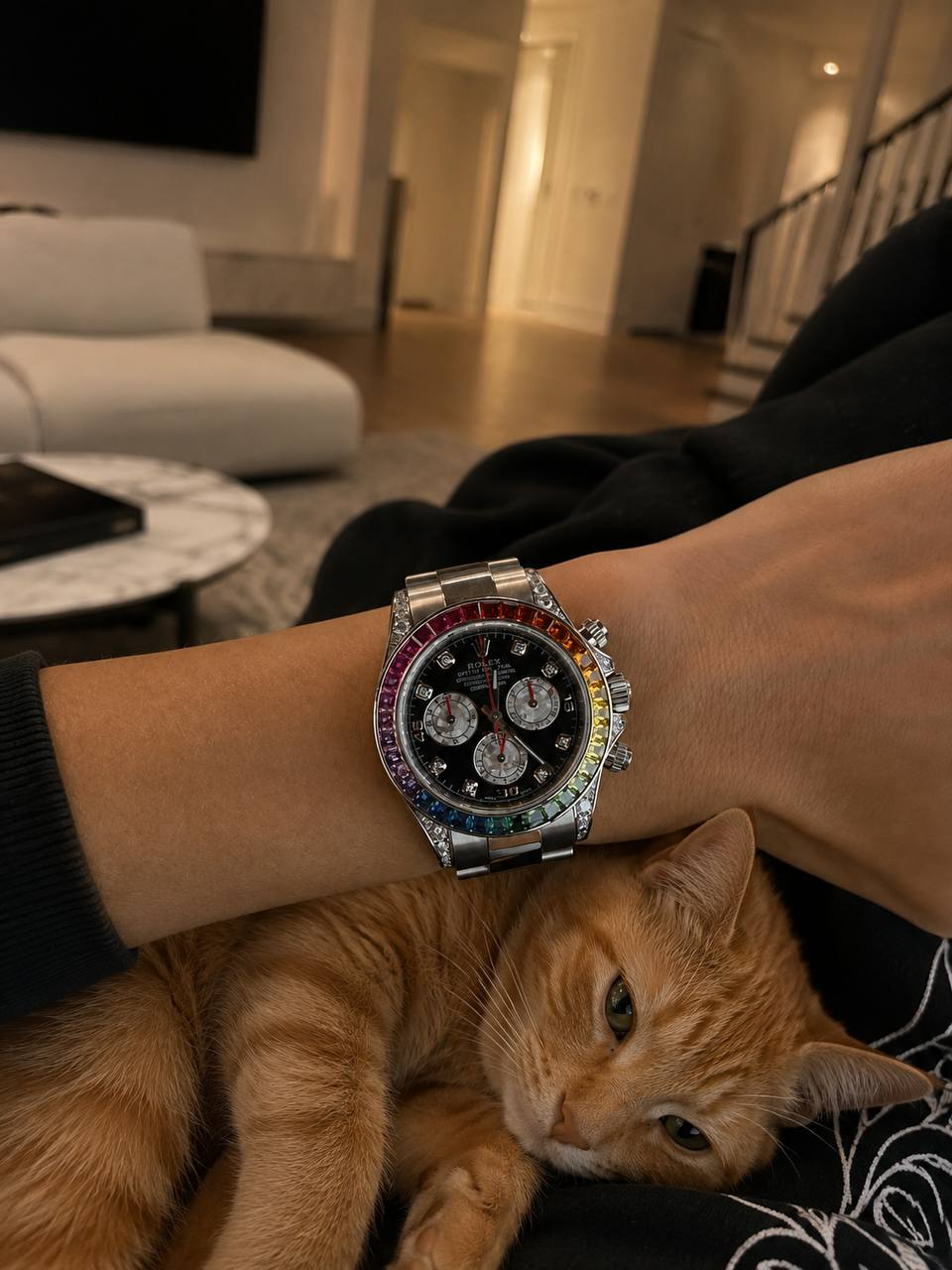 Rainbow Daytona resting above Miso